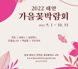 [가을꽃]2022 태안 가을꽃박람회 포스터