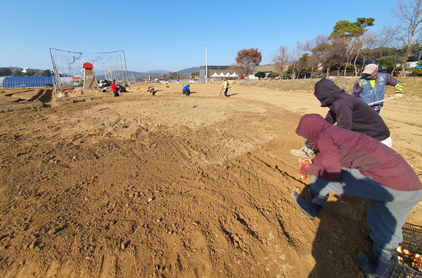 운영안내