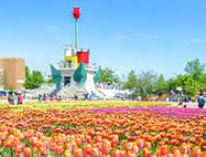 튤립축제소개