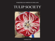 튤립축제소개