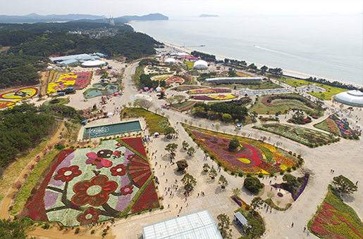 운영안내