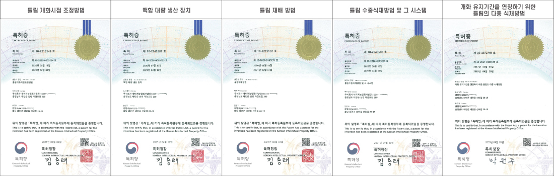 공원연혁