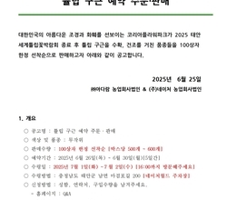 튤립 구근 예약 판매