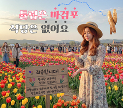 식당은 없어요! 식사는 밖에서