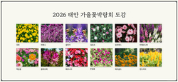 2026 태안 가을꽃박람회 도감
