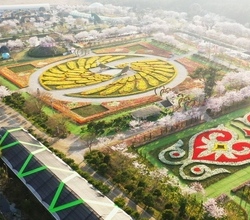 2026. 4월 18일 튤립 개화상황
