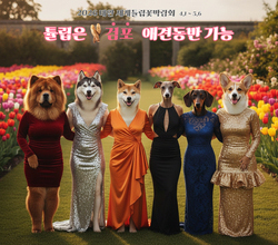 애견동반 가능